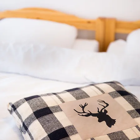Hotel Marmotte Saas-Fee