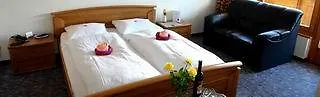 هوتل مارموت فندق Saas Fee