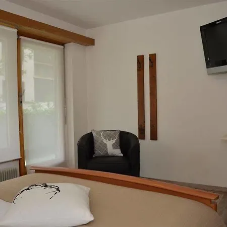 هوتل مارموت Saas Fee