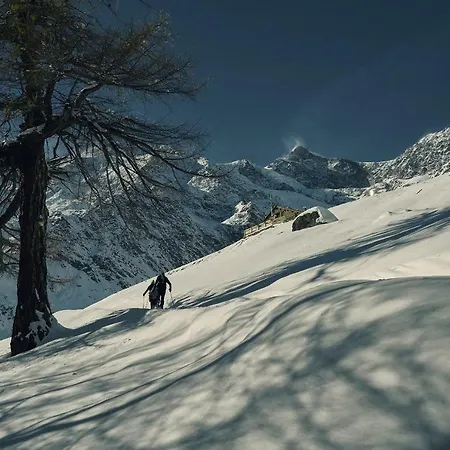 هوتل مارموت فندق Saas Fee